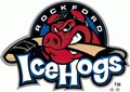 Rockford Icehogs Ice Hocky Team